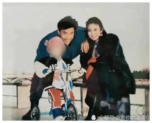 穿书娱乐圈吃瓜嗑糖,吃瓜嗑糖，解锁甜蜜穿书之旅