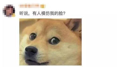 微信吃瓜表情包是哪个平台的,微信吃瓜表情包背后的生成平台