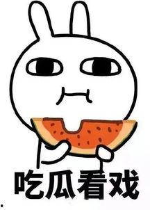 娱乐吃瓜酱罚款,揭秘网红圈背后的法律红线